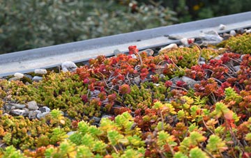the cost of Scribbagh green roof installation