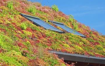 Scribbagh living roof systems