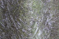 Scribbagh fibreglass roof work